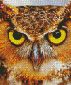 Fierce Owl Diamond Paintings