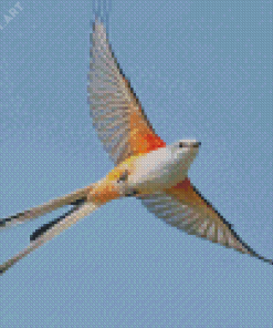 Flying Oklahoma Flycatcher Bird Diamond Paintings