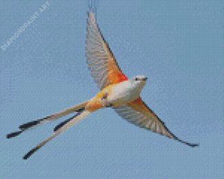 Flying Oklahoma Flycatcher Bird Diamond Paintings