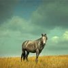 Grey Alone Horse Diamond Paintings