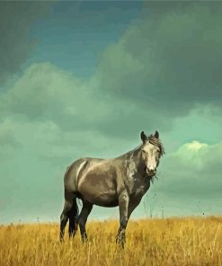 Grey Alone Horse Diamond Paintings