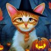 Halloween Cat Witch Art Diamond Painting