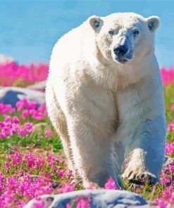 Polar Bear In Flowers Field Diamond Paintings