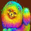 Rainbow Colorful Pomeranian Diamond Paintings