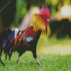 Rooster Diamond Painting