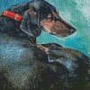 Sleeping Dachshund Dog Diamond Paintings