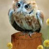 Western Screech Owl Art Diamond Paintings