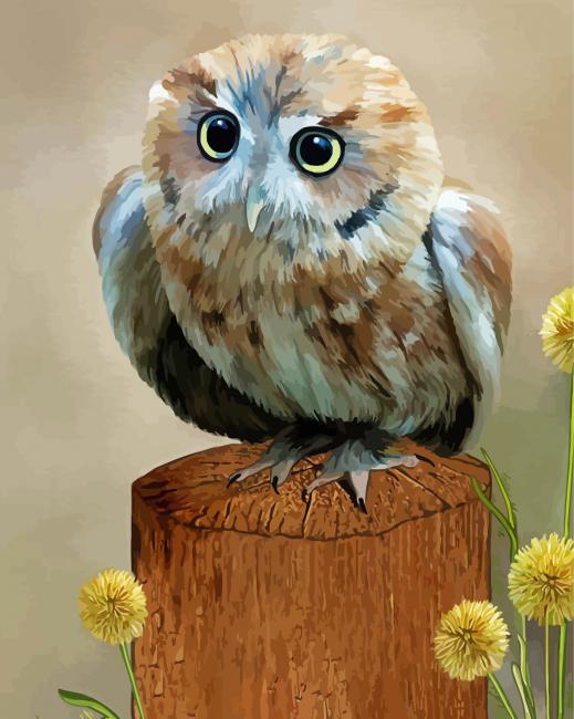 Western Screech Owl Art Diamond Paintings