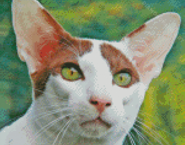 Oriental Shorthair Cat Diamond Painting
