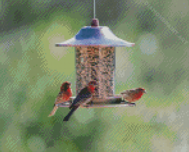 Where To Hang Seed Feeders For Birds Diamond Painting