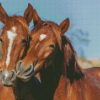 Wild Mustangs Horses In Arizona Diamond Painting