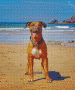 Boxer Dog Diamond Painting