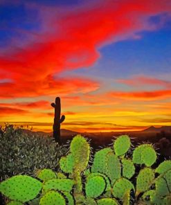 Cactus Desert Sunset Diamond Painting