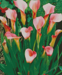 Pink Calla Lily Flowering Plant Diamond Painting
