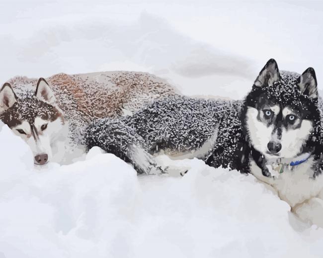 Husky Dog Couple Diamond Painting