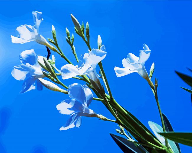 White Oleanders Diamond Painting