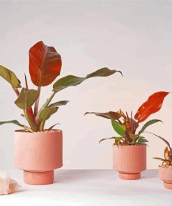 Plants In Pink Vases Diamond Painting