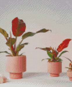 Plants In Pink Vases Diamond Painting