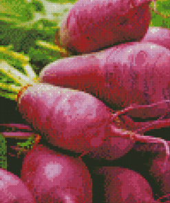 Purple Turnip Diamond Painting
