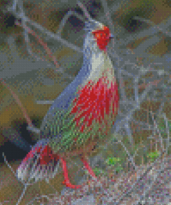 The Blood Pheasant Bird Diamond Painting