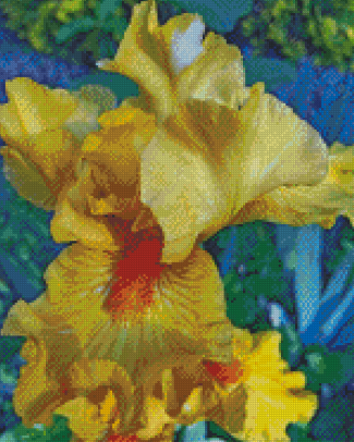 Bearded Iris Plant Diamond Painting