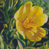 Yellow Primrose Art Diamond Painting
