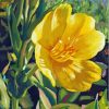 Yellow Primrose Art Diamond Painting