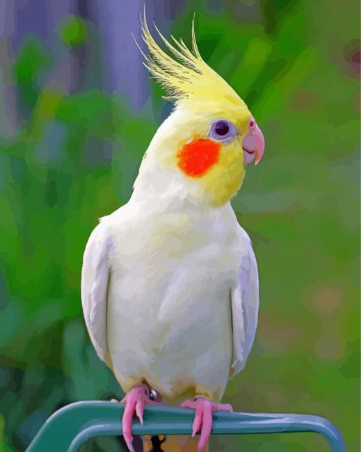Aesthetic Cockatiel Parrot Diamond Painting