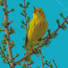 American Yellow Warbler Bird Diamond Painting