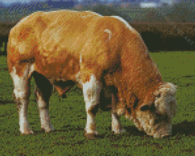 Beige Simmental Cattle Diamond Painting