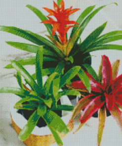 Bromeliad Plant Pots Diamond Painting