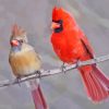Cardinals Couple On Stick Diamond Painting