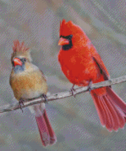 Cardinals Couple On Stick Diamond Painting