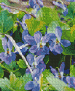 Common Blue Violet Flowers Diamond Painting