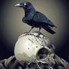 Crow And Skull Diamond Painting