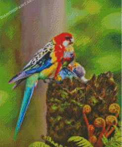 Eastern Rosella Bird Diamond Painting