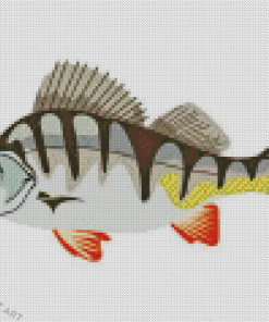 European Perch Fish Art Diamond Painting