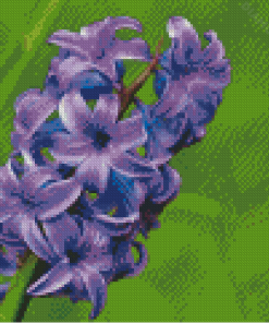 Hyacinth Purple Flowers Diamond Painting