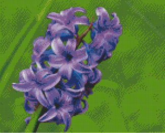 Hyacinth Purple Flowers Diamond Painting