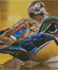 Male And Female Wood Ducks Diamond Painting