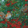 Redwing Birds Diamond Painting