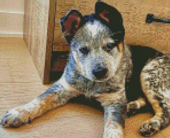 Texas Heeler Puppy Dog Diamond Painting