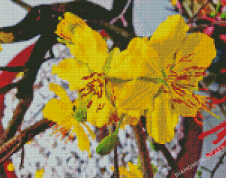The Yellow Blossom Diamond Painting