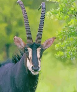The Sable Antelope Animal Diamond Painting