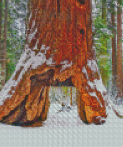 Tree Tunnel In Snow Diamond Painting