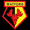 Watford Football Club Logo Diamond Painting