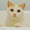 White Cat Shower Time Diamond Painting