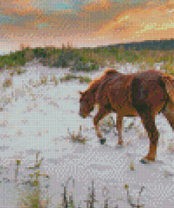 Wild Ponies On Assateague Island Diamond Painting