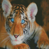 Baby Blue Eyes Tiger Diamond Painting