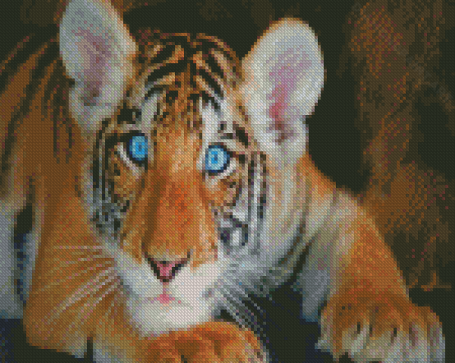 Baby Blue Eyes Tiger Diamond Painting